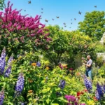 Attenzione! Queste piante attirano le vespe asatiche nel tuo giardino, liberati di esse in fretta!